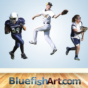 Bluefish Advertising Logo